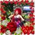 Lisa Kim Kelchner's profile image
