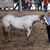 Arturo Dargence Castillo's profile image