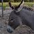 Ken Goebel's profile image