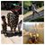 Stephanie Dixon-Miller's profile image
