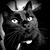 Amber Gregory Scott's profile image
