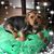 Linda Hlad Lyda's profile image