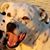 Marshall Danielson's profile image