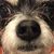 Martha Wells's profile image