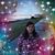 Donna Schneider's profile image
