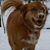 Brenda Simuncak's profile image