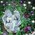 Sue Kosegi Haney's profile image