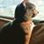 Mindy Sue's profile image
