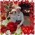 Pamela Ahlquist's profile image
