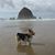 Summer Griffis's profile image