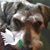 Sharon S Bhavsar's profile image
