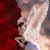 Michelle Bager's profile image