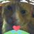 Nancy Thompson's profile image
