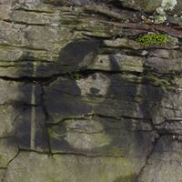 Lisa Jolin's profile image