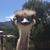 Robin Bunyan's profile image