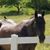Nigel Wellingford Clamslammington III's profile image