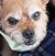 Tami Olson Ferr's profile image