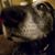 Amanda Cottrell's profile image