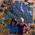 Diane M. Williams's profile image