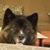 Gail Franck's profile image