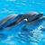 Betty Cureington's profile image