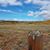 Brenda Breuer's profile image