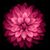 Marianela Sirlopu's profile image