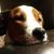 Kathy Howe-Snow's profile image