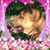 Julie Rudd's profile image