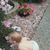 Joy Arwood's profile image