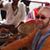 Keshav Das's profile image