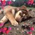 Michelle Anderson's profile image