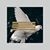 Brenda Hamilton Shelton's profile image