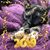 Kelly Trammel Morgan's profile image