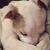 Suzan Jones Marlow's profile image