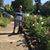 Jose Luis de Cossio's profile image