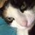 Nyria Laboy's profile image