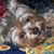 Sharon Bredesen's profile image