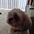 Judi Halbeck's profile image