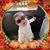 Pamela Barley Seltzer's profile image