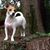 Dave Harris's profile image
