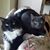 Betsy Kipila's profile image