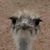 Matt DePaul's profile image