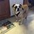 Sue Pipek Blair's profile image