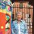 Darla Musgrove Knoth's profile image