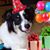 Sookie Angulo's profile image
