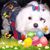 Brenda McCauley Kunkel's profile image