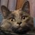 Brian Burch's profile image