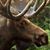 Bret Davies's profile image