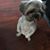 Anthony Broadbent's profile image
